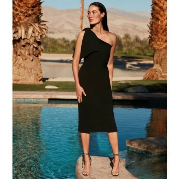 Dress the Population Dresses & Skirts - Dress the Population Tiffany One Sleeve Midi Dress Medium M